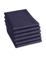 DDDDD Theedoek Logo Blauw 6 stuks