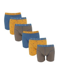 Vinnie-G Boys Kinder boxershorts Wakeboard 6-pack