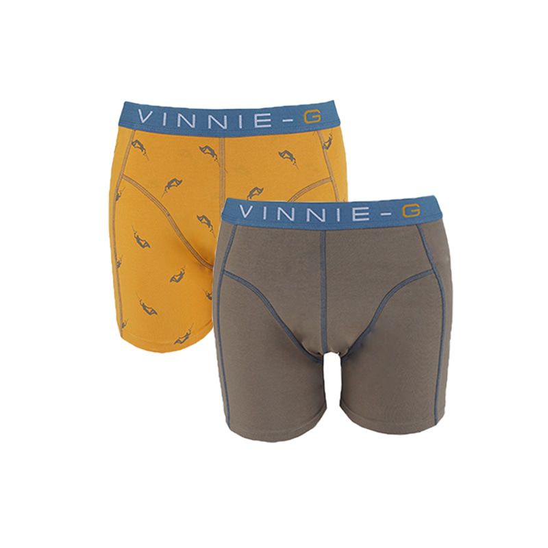 Vinnie-G Boys boxershorts Wakeboard Grey - Print 2-Pack-152/158